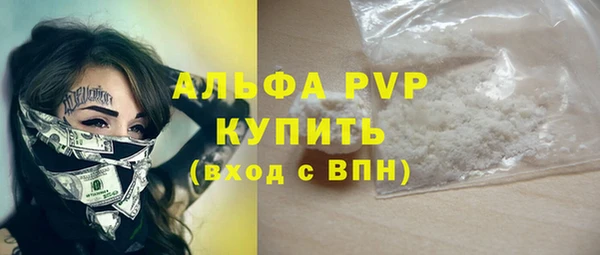 крисы Алзамай