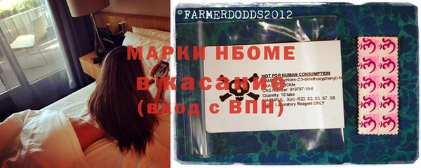 крисы Алзамай